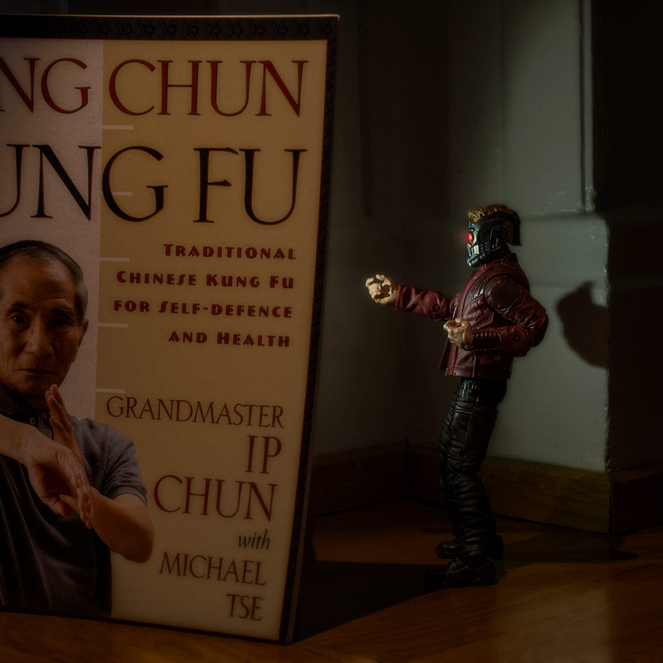 Wing Chun - Kung Fu.